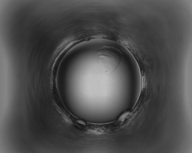 X0000087750243200705071119