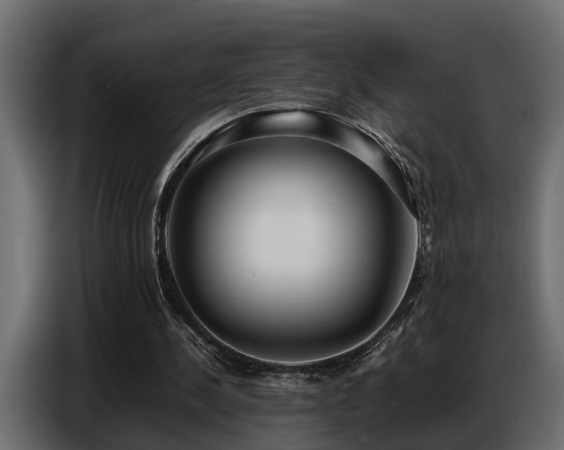 X0000087750244200705071119