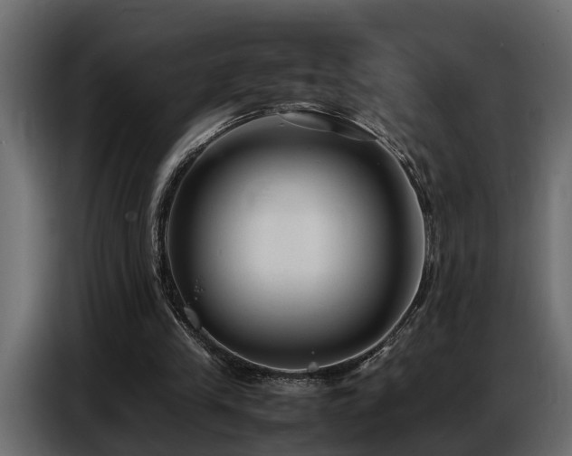 X0000087750245200705071119