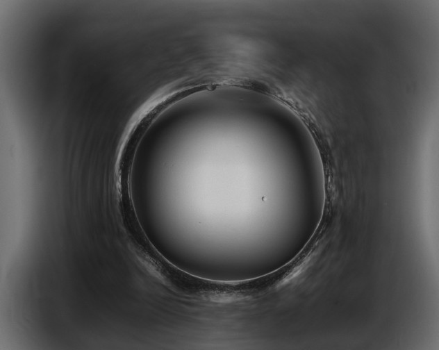 X0000087750246200705071119