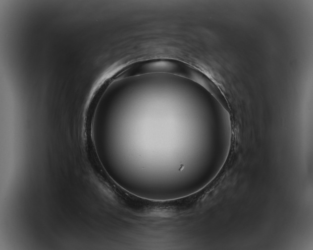 X0000087750248200705071119