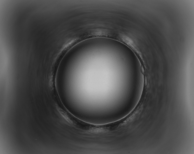 X0000087750249200705071119
