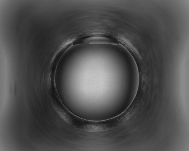 X0000087750250200705071119