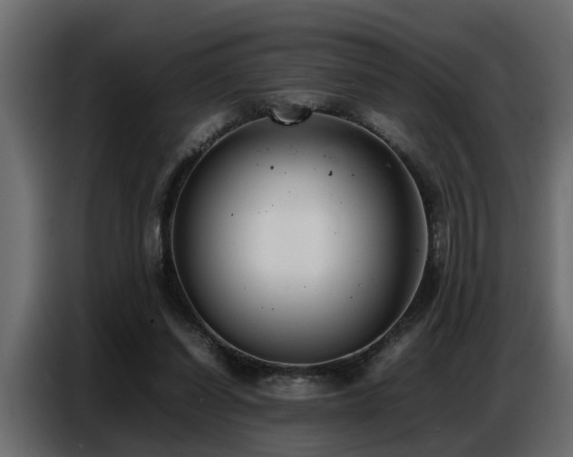 X0000087750254200705071119