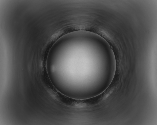 X0000087750258200705071119