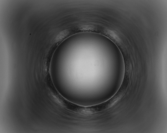 X0000087750261200705071119