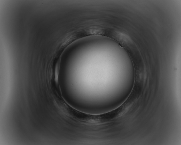 X0000087750263200705071119
