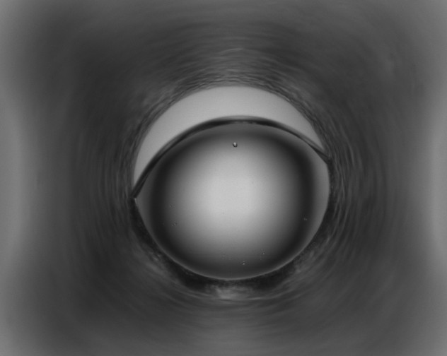 X0000087750268200705071119