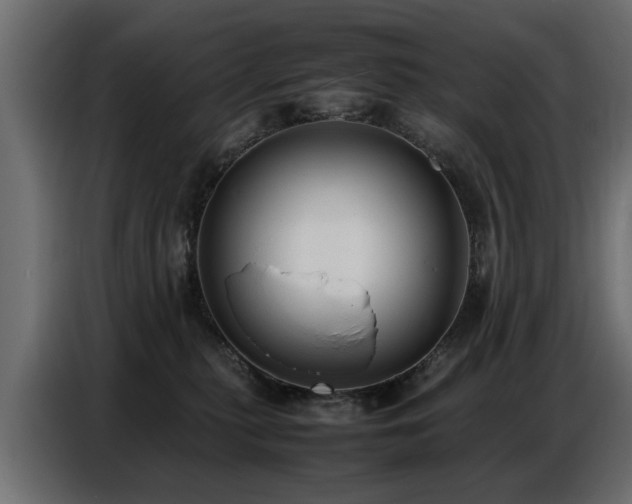 X0000087750279200705071119