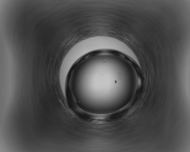 X0000087750280200705071119
