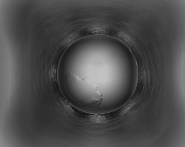 X0000087750281200705071119