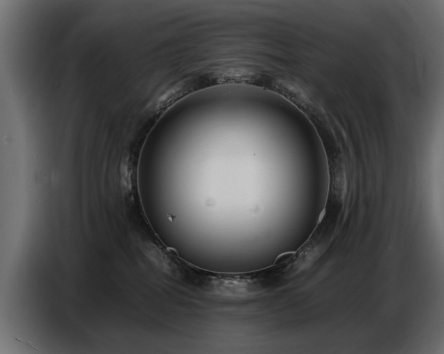 X0000087750282200705071119