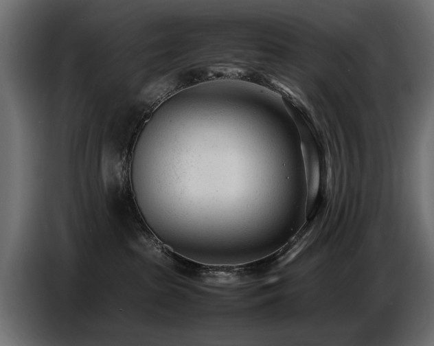 X0000087750285200705071119