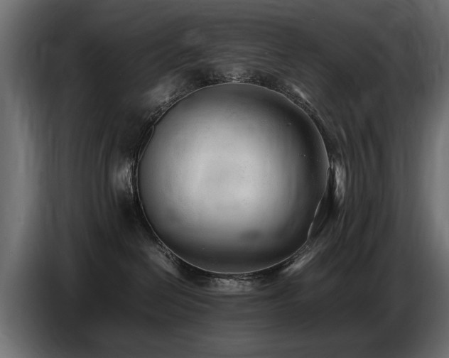 X0000087750286200705071119