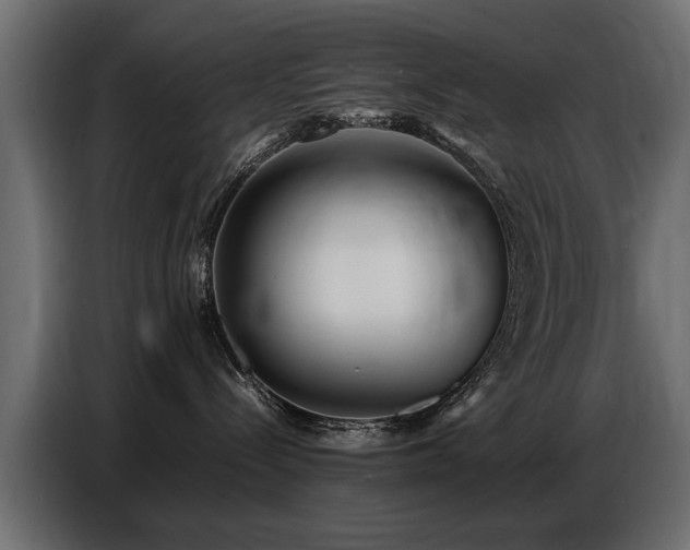 X0000087750288200705071119