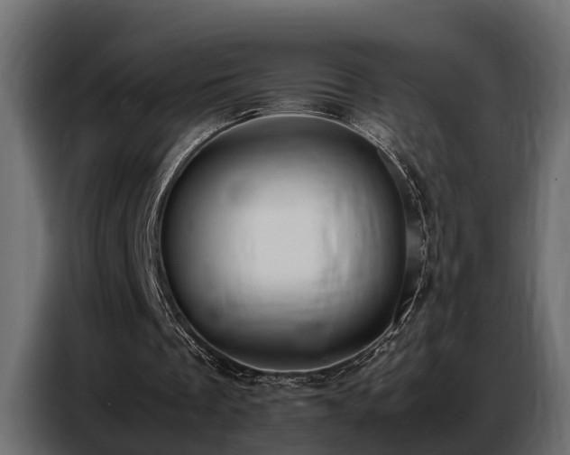 X0000087750289200705071119