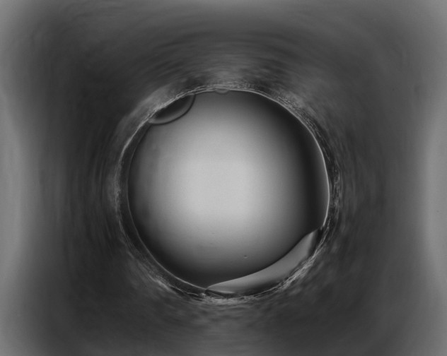 X0000087750290200705071119