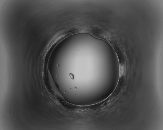 X0000087750291200705071119
