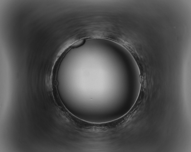 X0000087750292200705071119