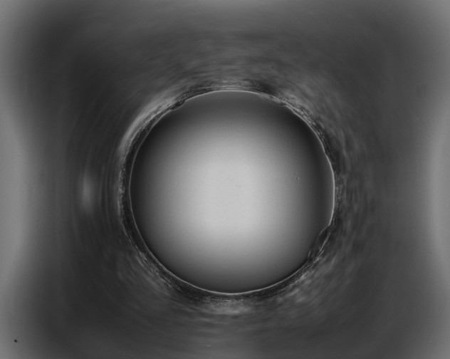 X0000087750293200705071119
