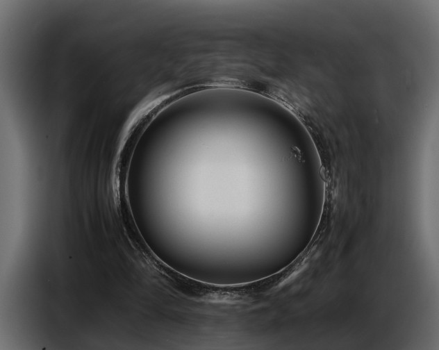 X0000087750294200705071118