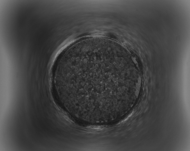 X0000087750295200705071118