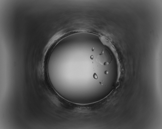 X0000087750296200705071118