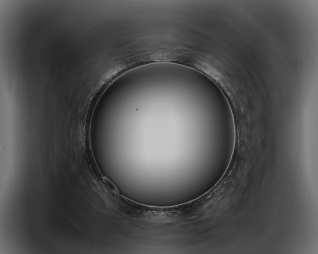 X0000087750297200705071118