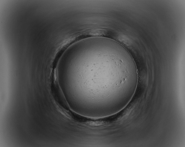 X0000087750303200705071118