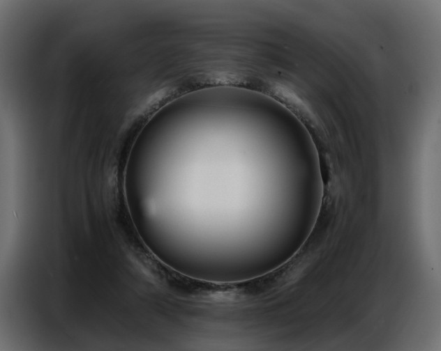 X0000087750306200705071118