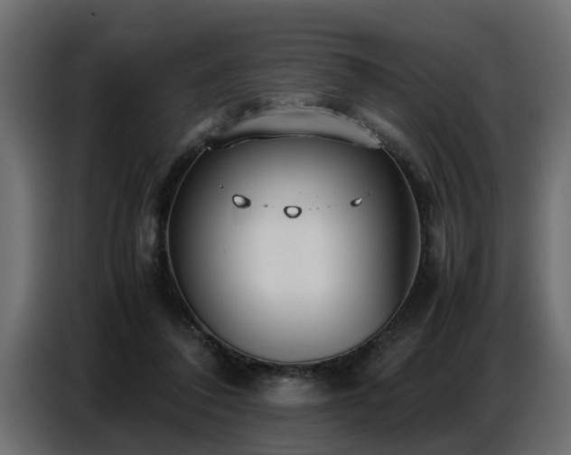 X0000087750308200705071118