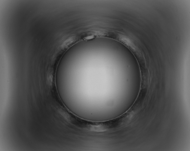 X0000087750309200705071118