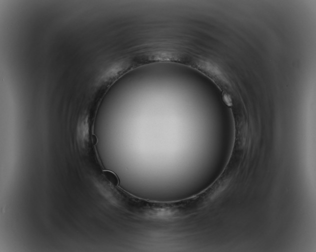X0000087750310200705071118