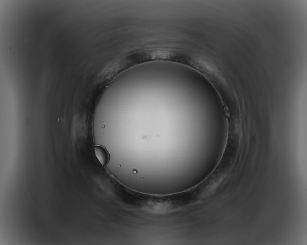 X0000087750311200705071118