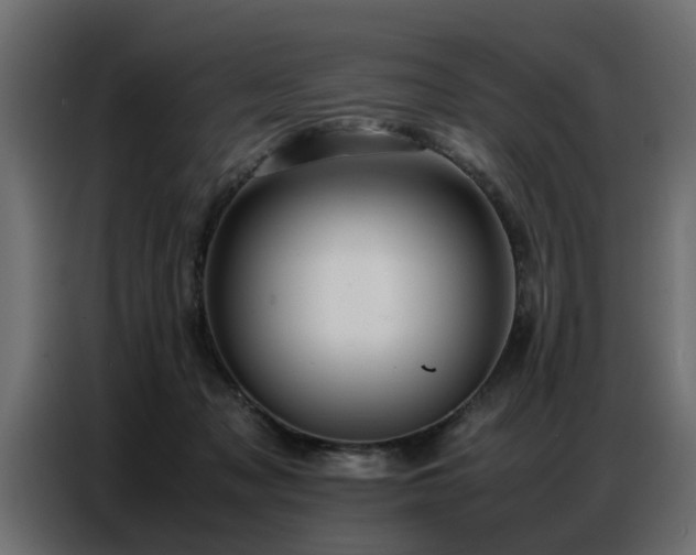 X0000087750317200705071118