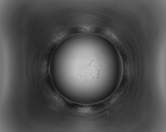 X0000087750318200705071118