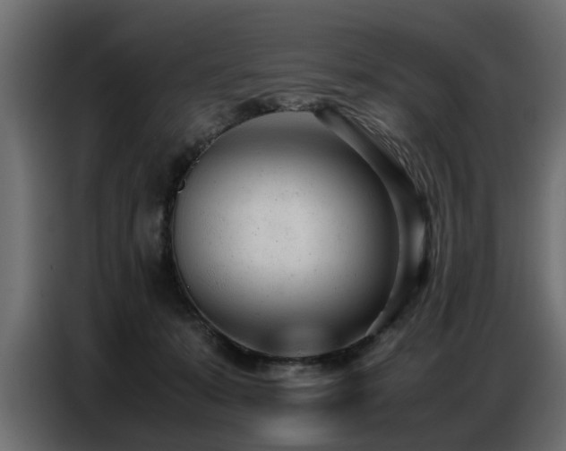 X0000087750319200705071118