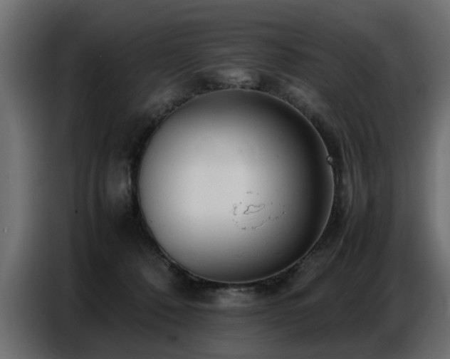 X0000087750320200705071118