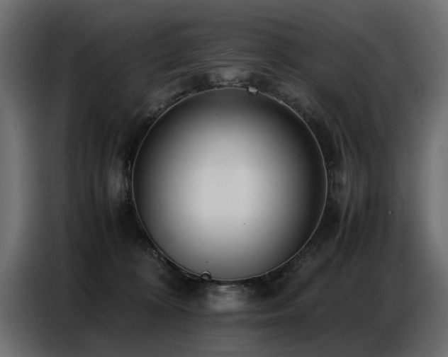 X0000087750324200705071118