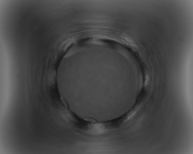 X0000087750325200705071118