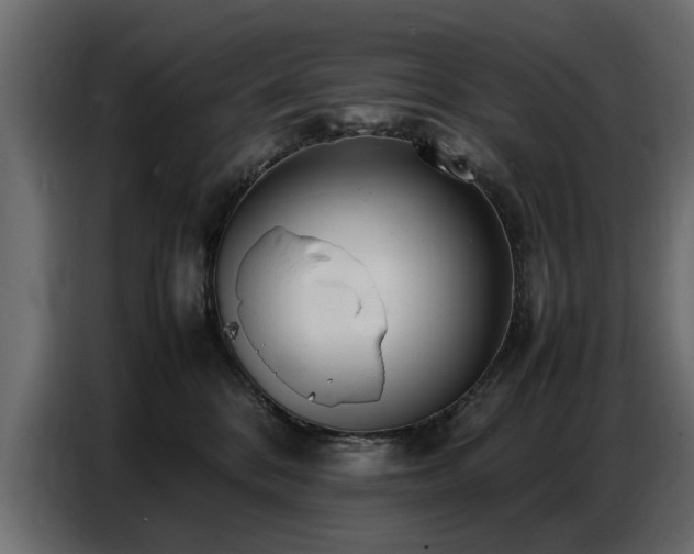 X0000087750328200705071118