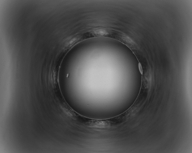 X0000087750330200705071118
