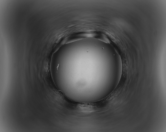 X0000087750331200705071118