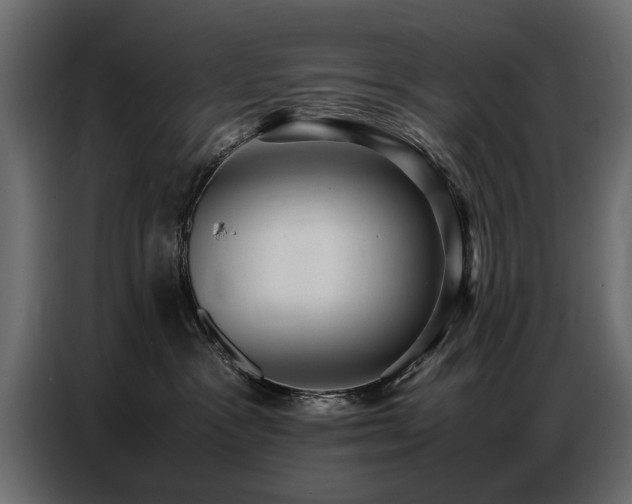 X0000087750333200705071118