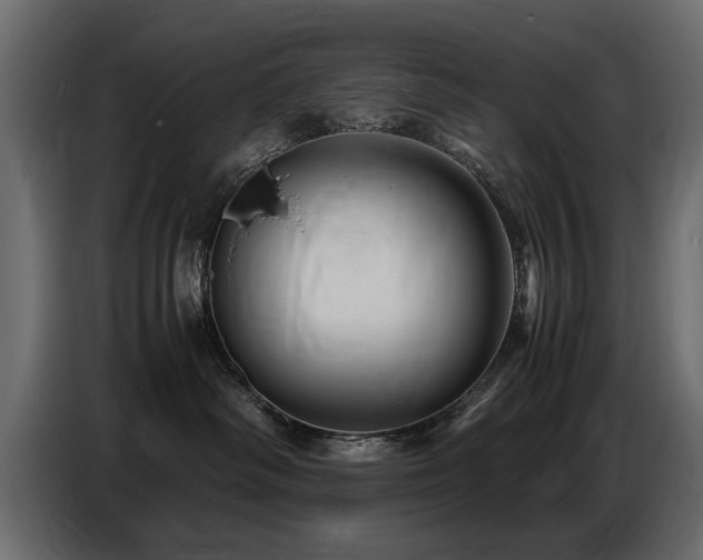 X0000087750334200705071118