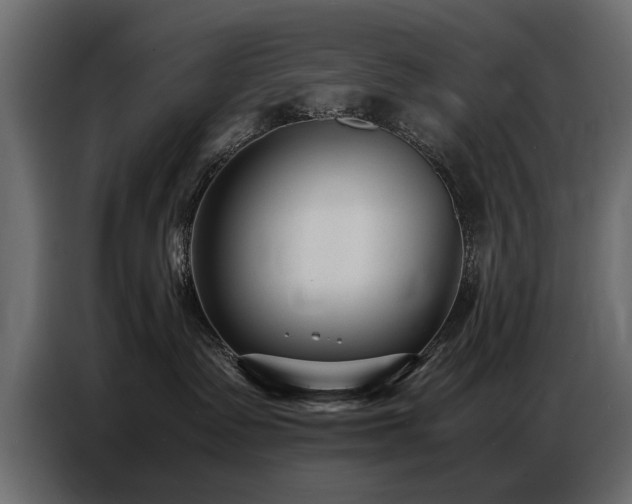 X0000087750335200705071118