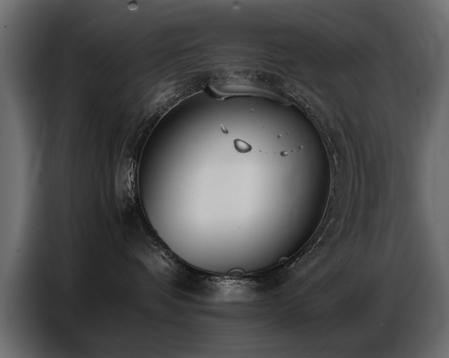 X0000087750336200705071118