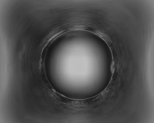 X0000087750338200705071117