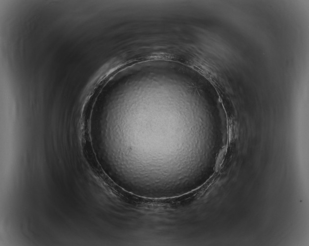 X0000087750339200705071117