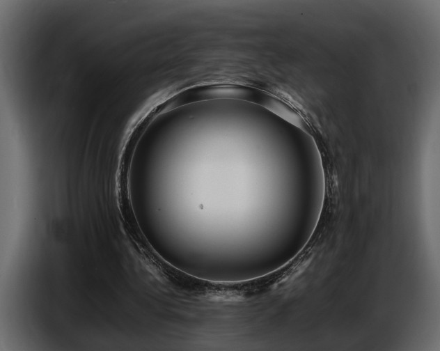X0000087750340200705071117